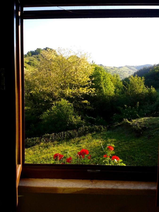 Agriturismo Il Casale Pica Posta Exteriör bild