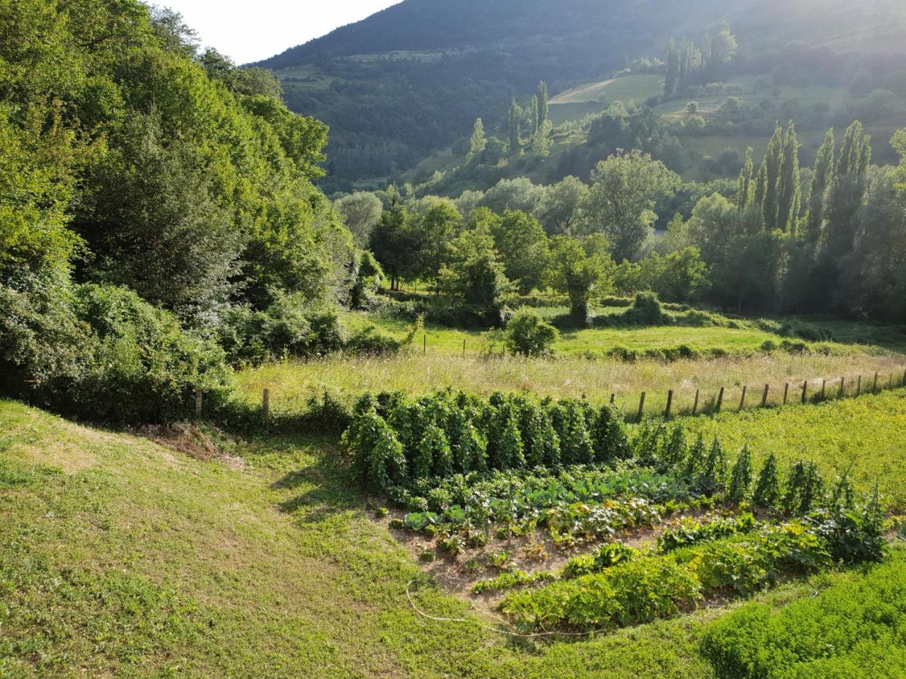Agriturismo Il Casale Pica Posta Exteriör bild