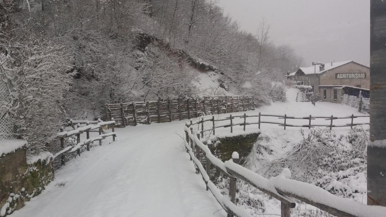 Agriturismo Il Casale Pica Posta Exteriör bild